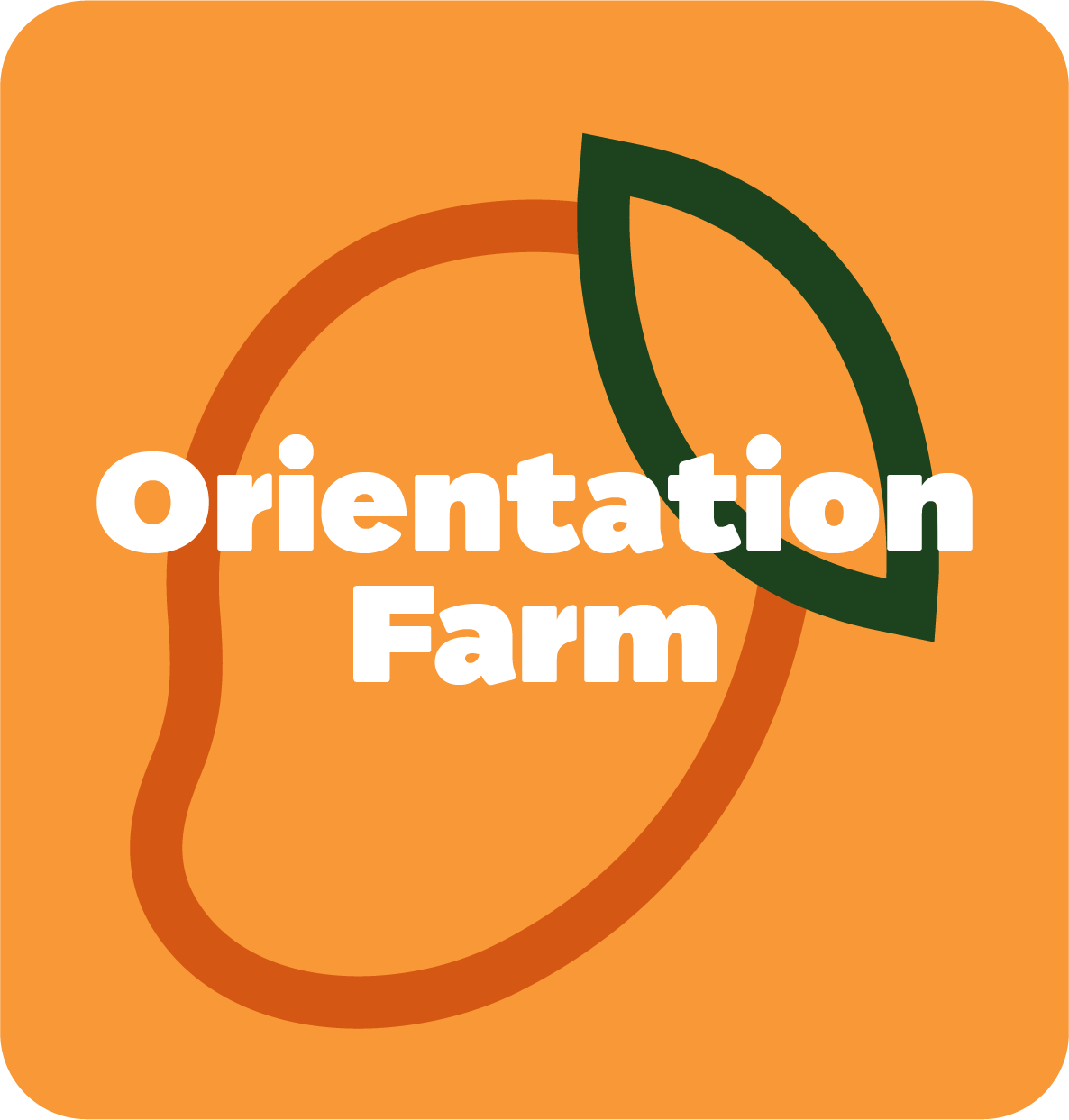 Mango Orientation